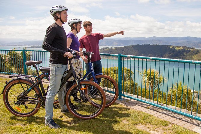 Museum of New Zealand Te Papa Tongarewa: Introducing Te Papa Tour - Art, science, and interactive displays