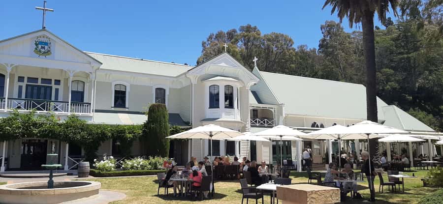 Napier: Afternoon Winery Tour Tasting at 3 Great Wineries - Six things worth knowing before you book