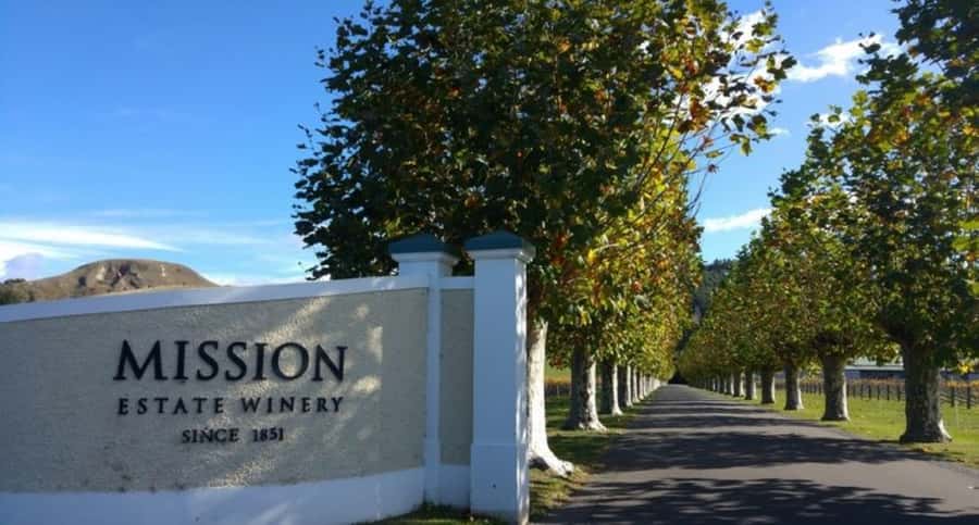Napier: Afternoon Winery Tour Tasting at 3 Great Wineries - Silky Oaks Chocolates breaks up the wine