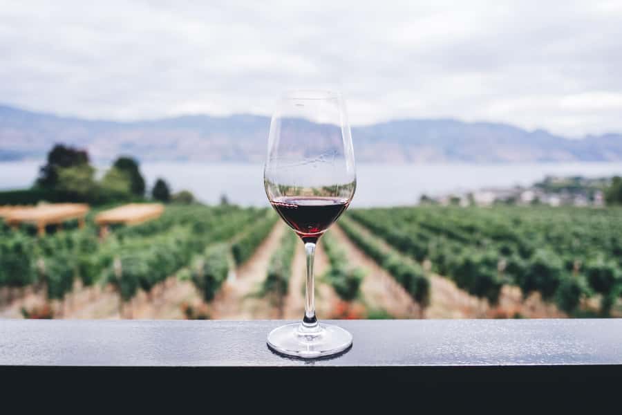 Napier: Art Deco Bike Ride and Wineries Loop - Key points to know before you book
