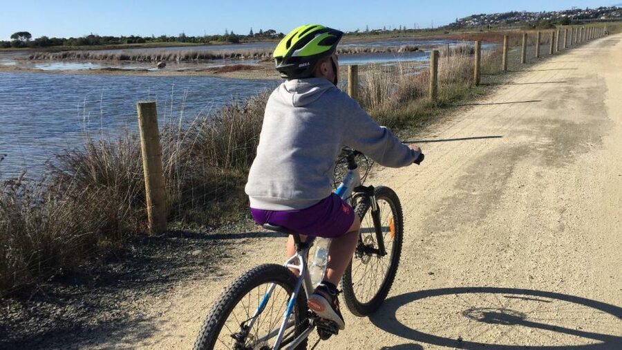 Napier: Art Deco Bike Ride and Wineries Loop - What the $68 price really covers