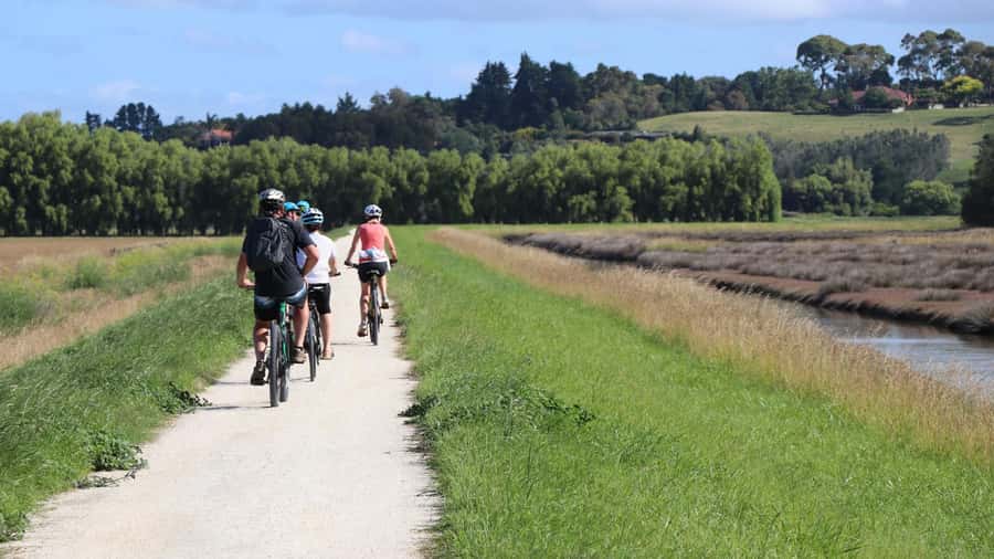 Napier: Art Deco Bike Ride and Wineries Loop - Ahuriri to Art Deco Napier