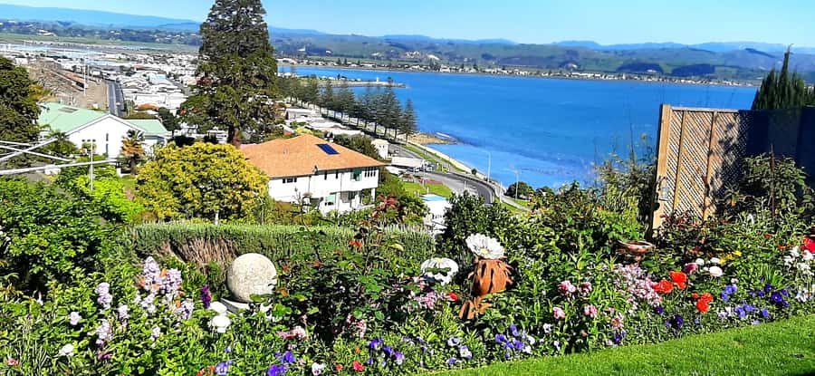 Napier: Art-Deco + Te Mata Peak+ Garden Walk + Wine Tasting - Napier’s Art Deco center and the 1931 earthquake
