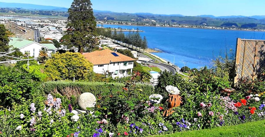 Napier: Art-Deco + Te Mata Peak+ Garden Walk + Wine Tasting - The driving, walking, and pace