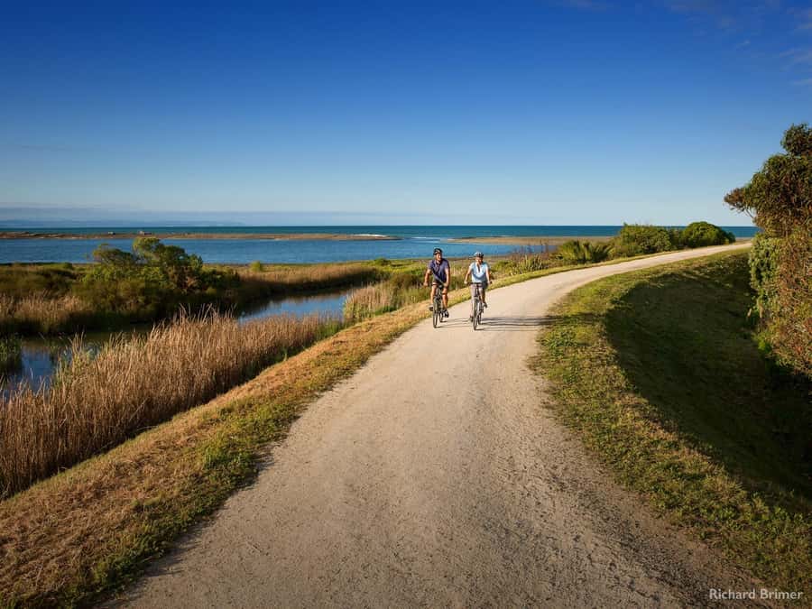 Napier: Cape Coast Winery Tour on E-Bikes - Quick points before you book