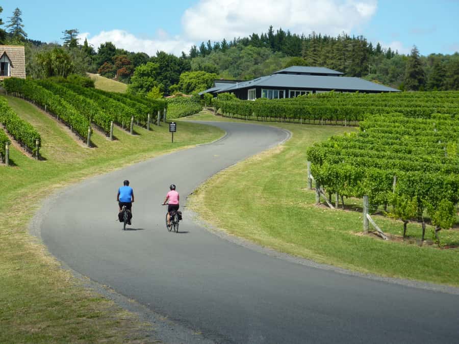 Napier: Cape Coast Winery Tour on E-Bikes - The Tuki Tuki River trail and Te Mata views