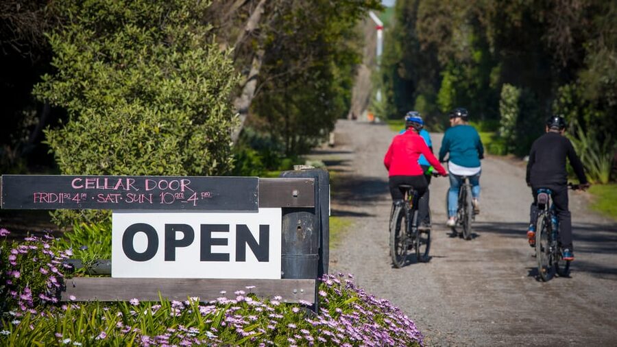 Napier: Cape Coast Winery Tour on E-Bikes - What you are paying for at $89