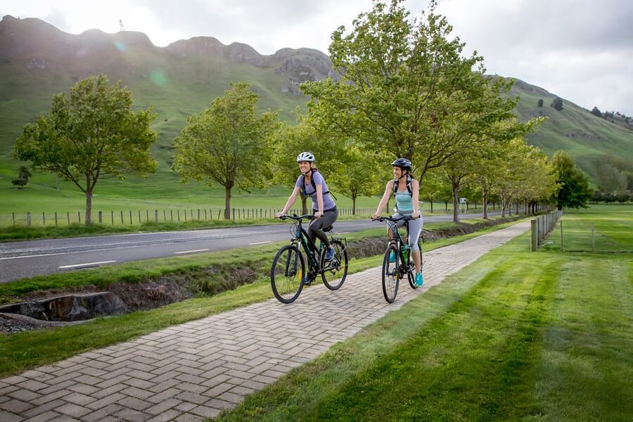 Napier: Cape Coast Winery Tour on E-Bikes - When to go, and how to avoid a disappointing day