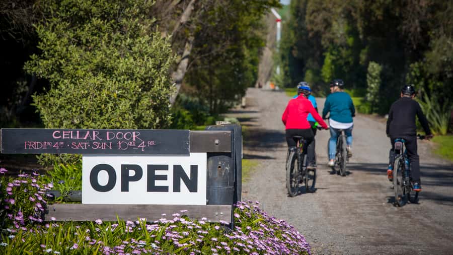 Napier: Cape Coast Winery Tour on E-Bikes - Who will enjoy this tour most?