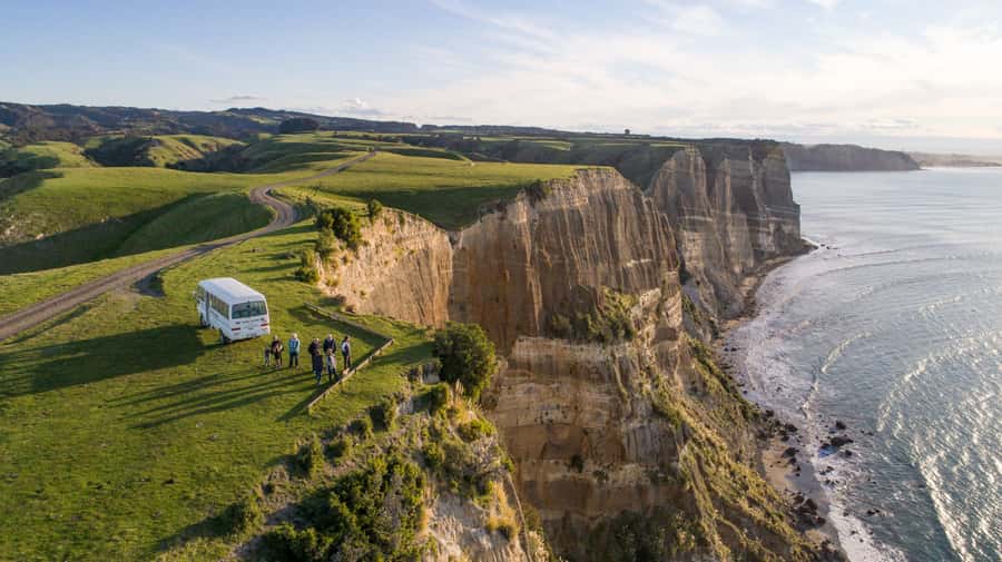 Napier: Cape Kidnappers Gannet, Nature & Sightseeing Tour - Key points to know before you go