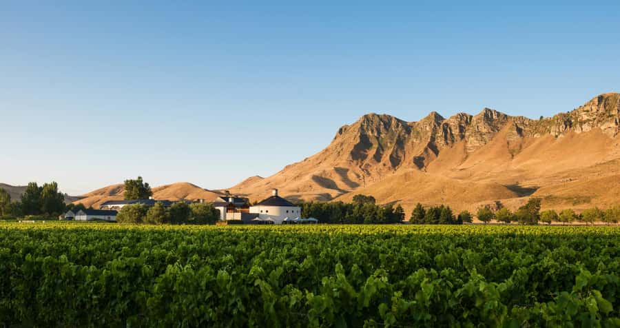 Napier Craggy Range Wine tour with Te Mata Peak summit views - The scenic drive from Napier