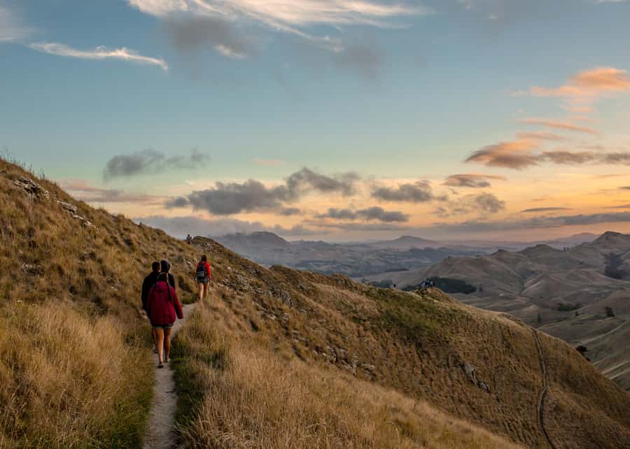 Napier Craggy Range Wine tour with Te Mata Peak summit views - The road to Te Mata Peak