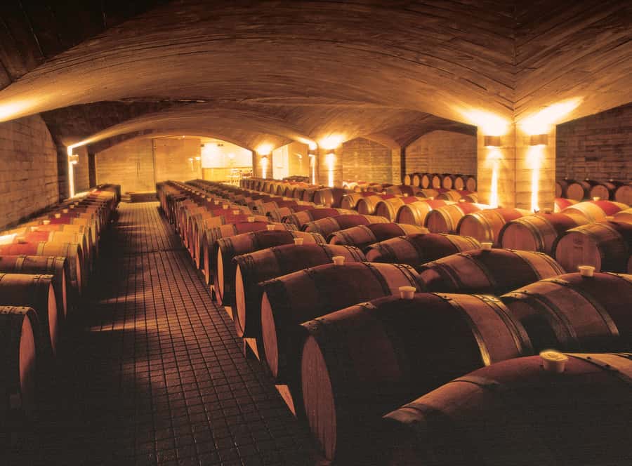 Napier Craggy Range Wine tour with Te Mata Peak summit views - Is $159 good value?