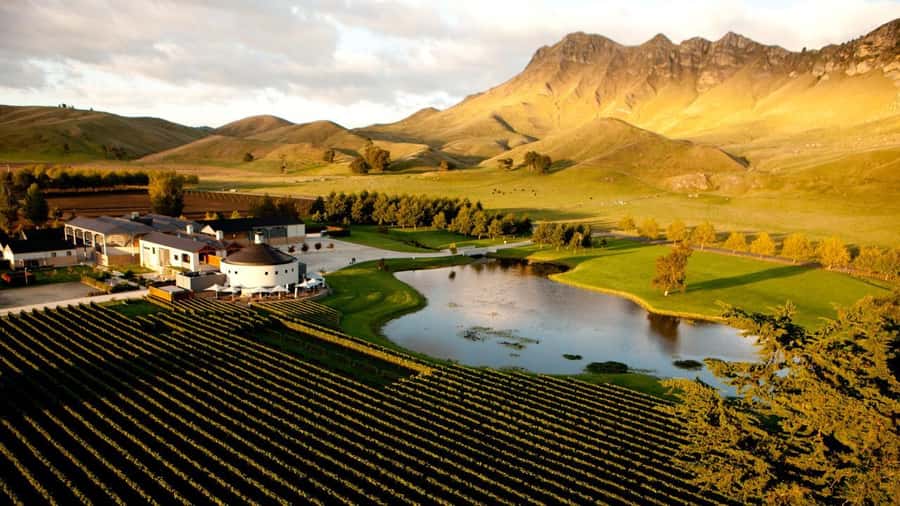 Napier Craggy Range Wine tour with Te Mata Peak summit views - Who will enjoy this four-hour tour?