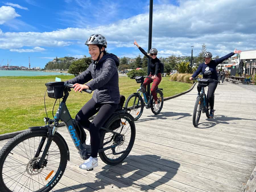 Napier: Cruise Self-Guided Cycle Ride to Winery - Half Day - Key points at a glance