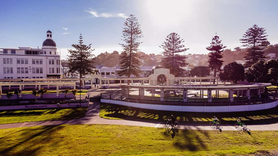 Napier: Cruise Self-Guided Cycle Ride to Winery - Half Day - Why four hours may not be enough
