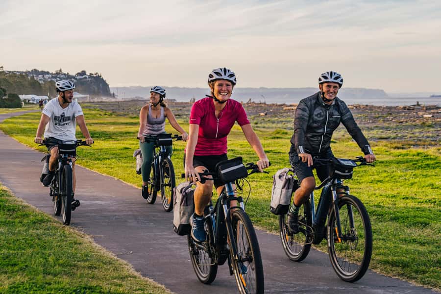 Napier: Cruise Self-Guided Cycle Ride to Winery - Half Day - Choosing between a pushbike and an e-bike