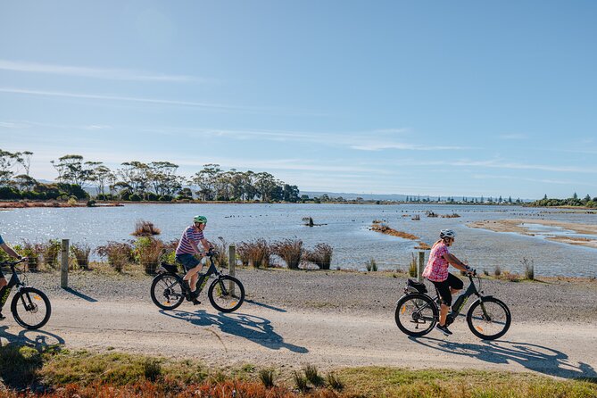 Napier E-bike Hire - Key points to know before you ride