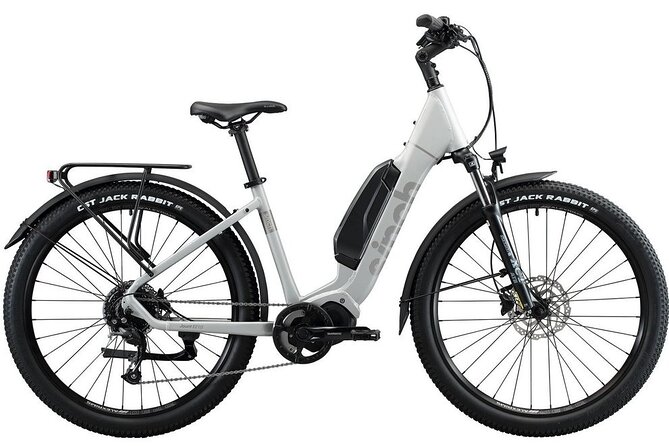 Napier E-bike Hire - The wetlands route and local wildlife