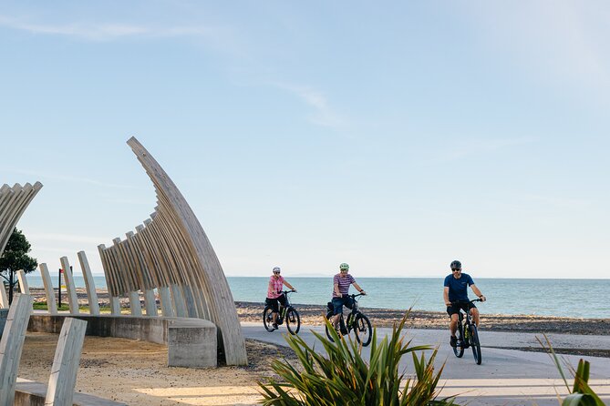 Napier E-bike Hire - Is $65.16 good value?