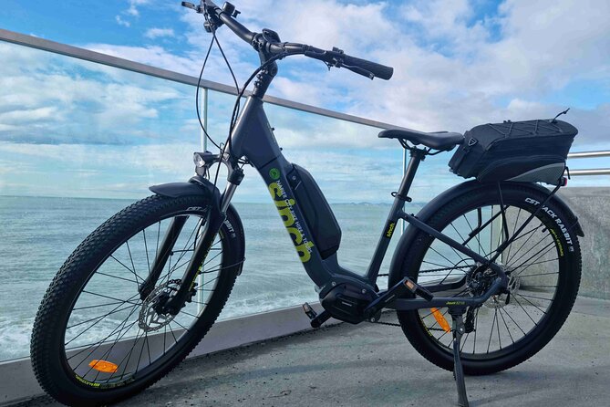 Napier E-bike Hire - Following Napier’s coast and waterfront