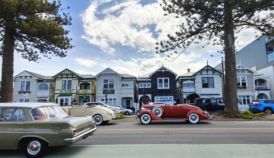 Napier: Highlights & Tour Exploring the Best of this Region - Key points to know before booking