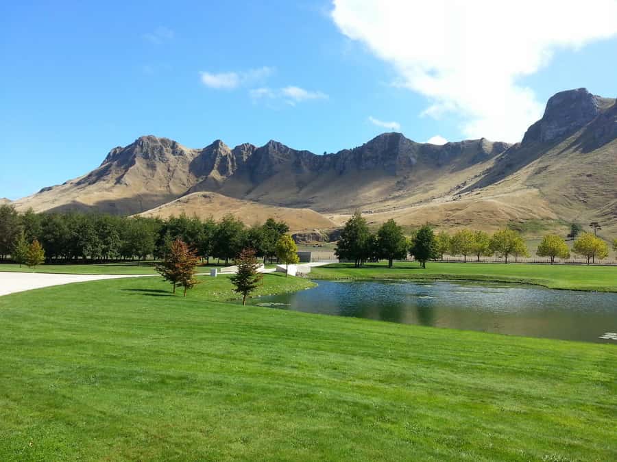 Napier: Highlights & Tour Exploring the Best of this Region - Havelock North and the Arataki Honey option