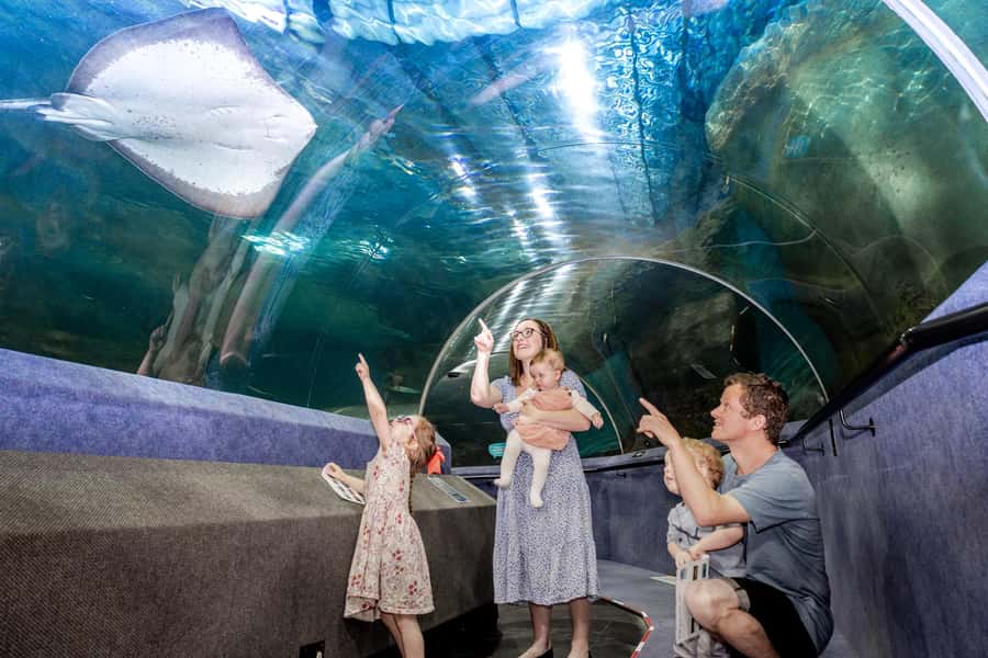 Napier: National Aquarium of New Zealand General Admission - Start With A Walk From Mountains To Sea