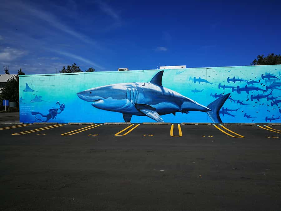 Napier: Shore Excursion with Wine Tasting and Platter - Key points at a glance