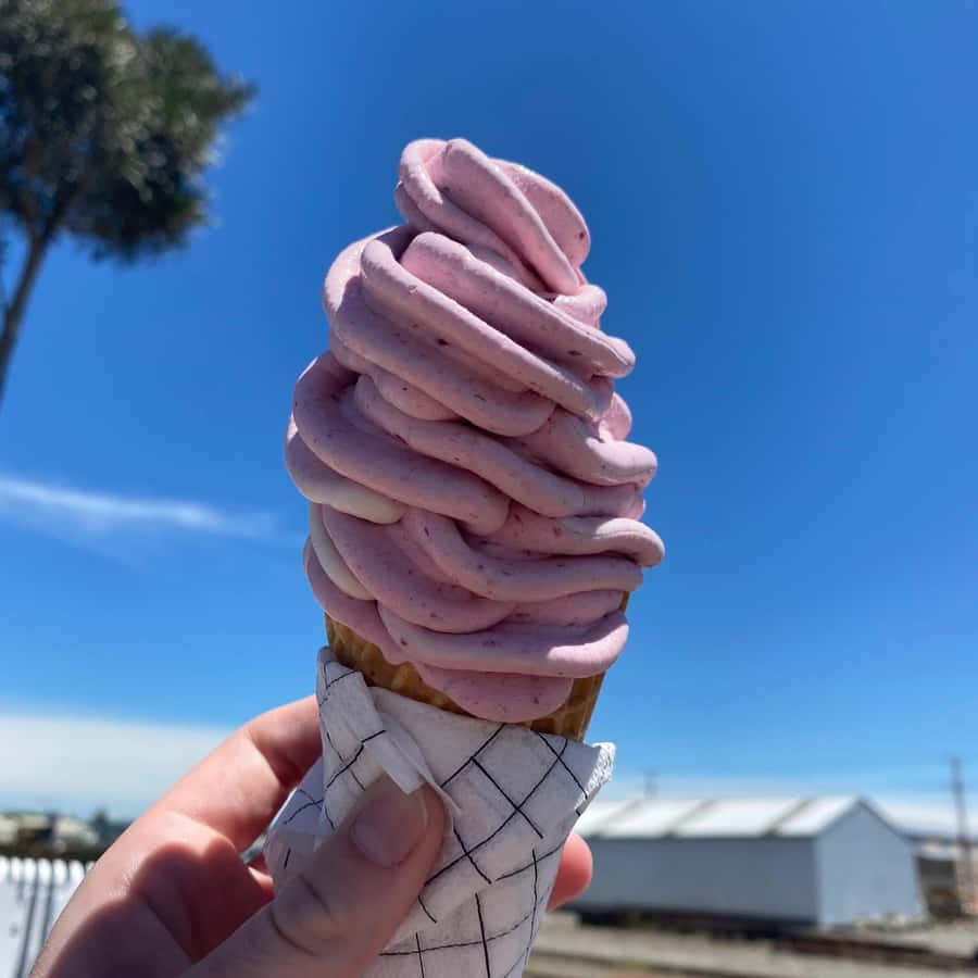 Napier: Taste Hawke's Bay - A sweet treat food tour - Birdwoods Gallery for art, gardens, and sweets