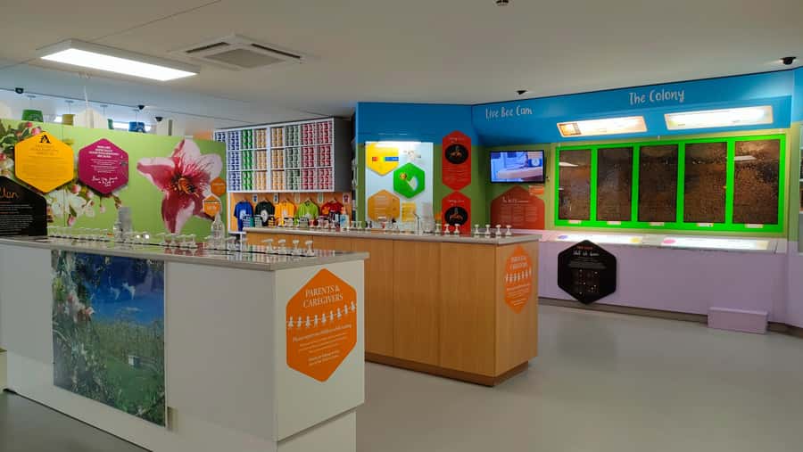 Napier: Taste Hawke's Bay - A sweet treat food tour - Who will enjoy this tour most