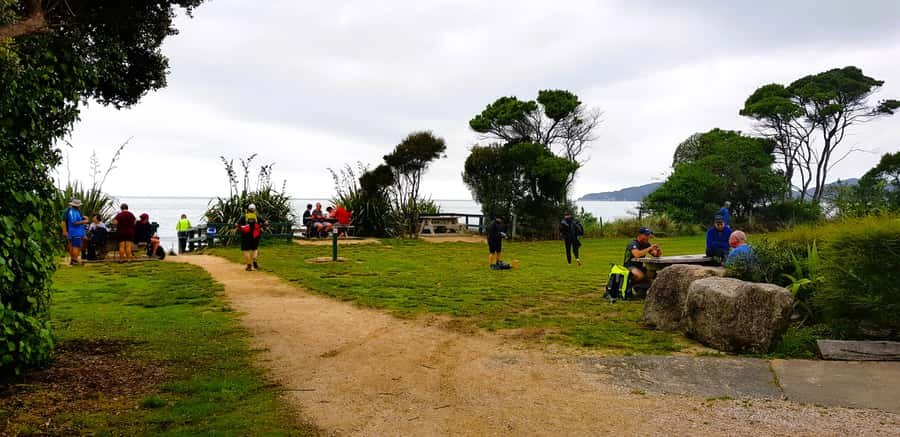 Nelson: Abel Tasman Cruise-Fly Day Tour - Timing, communication, and practical concerns
