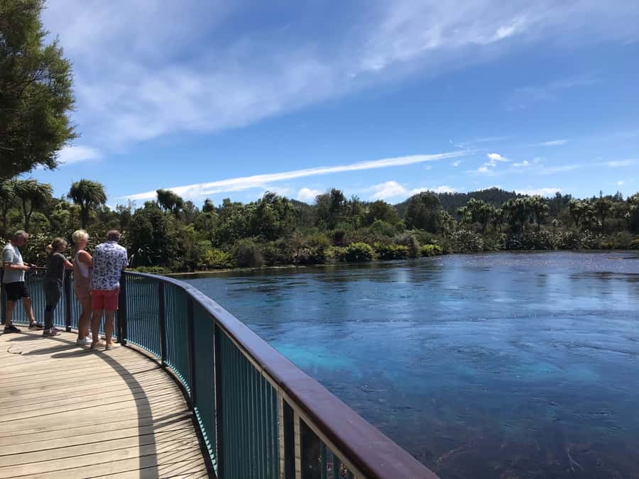 Nelson: Abel Tasman Cruise-Fly Day Tour - Cruising the Abel Tasman coast for 90 minutes