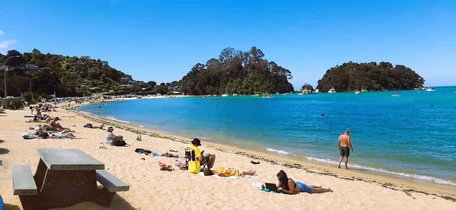 Nelson: Abel Tasman Cruise-Fly Day Tour - Te Waikoropupū Springs in a 30-minute walk