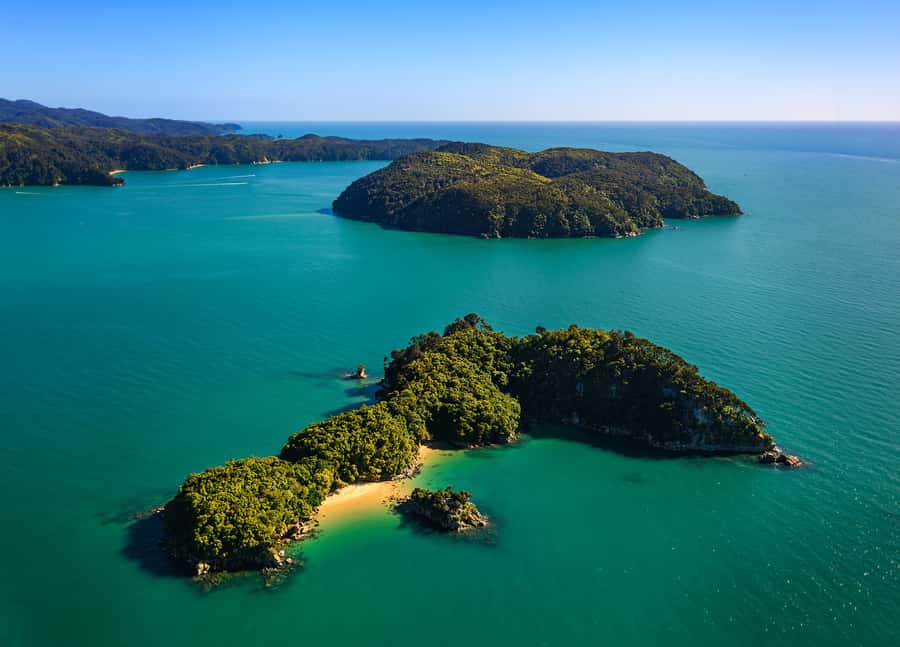 Nelson: Abel Tasman Cruise-Fly Day Tour - Flying back over Abel Tasman