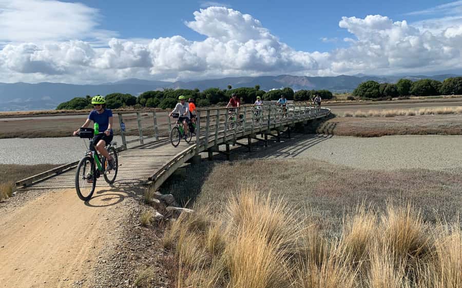 Nelson: Abel Tasman Kayaking & Great Taste Trail Bike Tour - Motueka, Tasman, and the value of a self-guided pace
