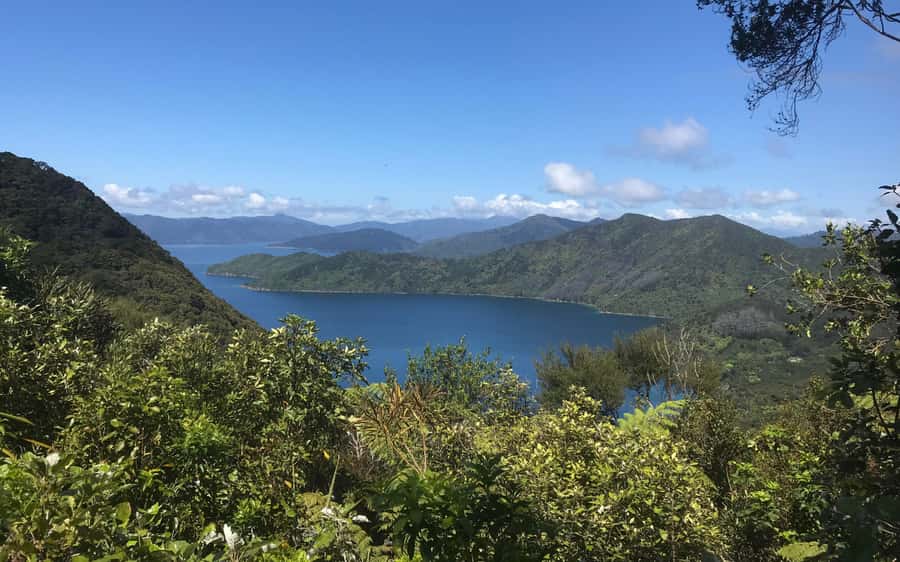 Nelson: Abel Tasman Kayaking & Great Taste Trail Bike Tour - Finishing at Mapua Wharf