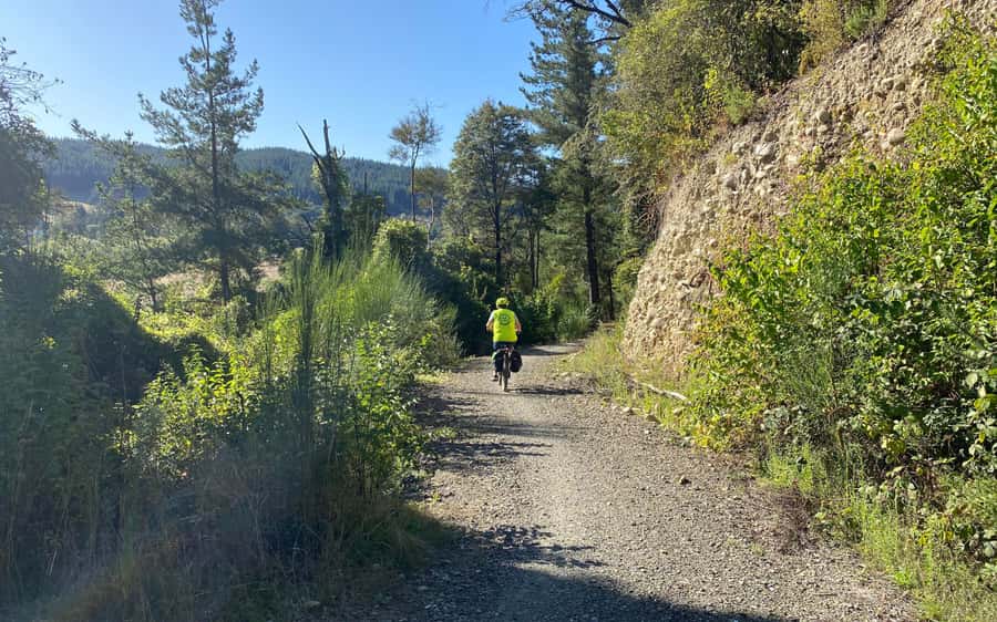 Nelson: Abel Tasman Kayaking & Great Taste Trail Bike Tour - The return shuttle and overall organization