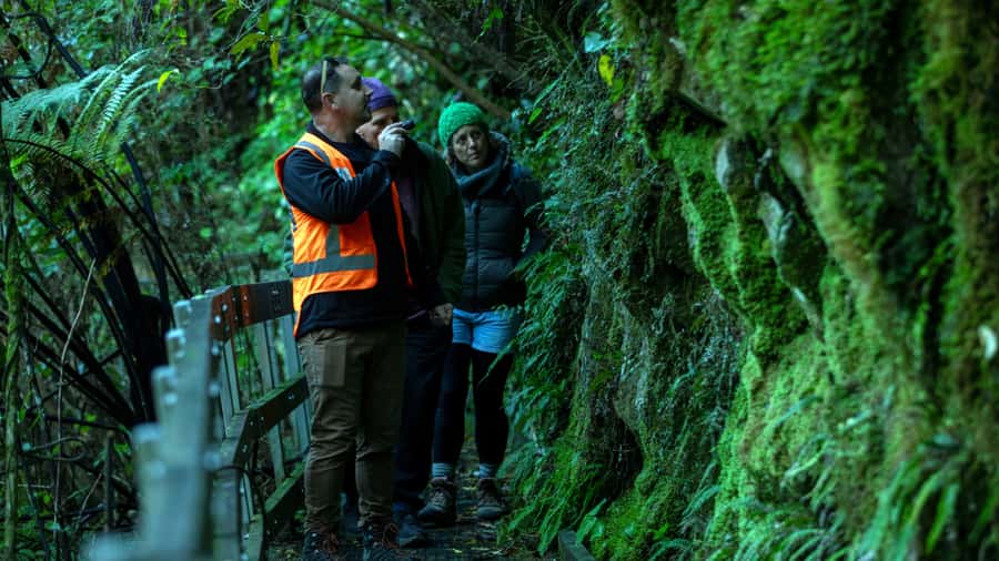 Nelson: Brook Waimārama Sanctuary Guided Night Walk - Key points to know before you go