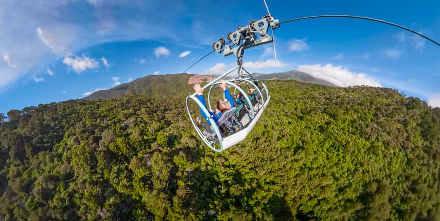 Nelson: Cable Bay Adventure Park Skywire Experience - The Cable Bay setting near Nelson