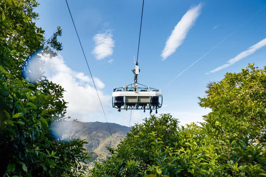 Nelson: Cable Bay Adventure Park Skywire Experience - Who will enjoy the Skywire most?