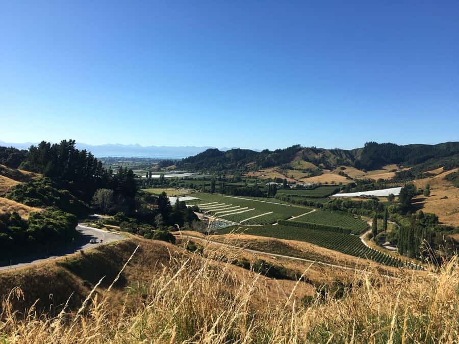 Nelson: Golden Bay in a Day Tour - Lunch in Takaka, with time to reset