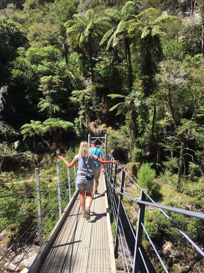 Nelson: Golden Bay in a Day Tour - Is $256 a fair price?