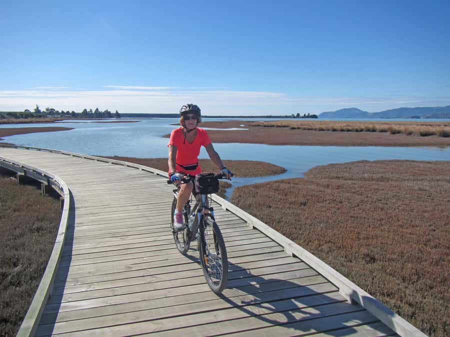 Nelson: Great Taste Trail Coastal Bike Ride to Mapua - Why this Nelson to Mapua ride works so well
