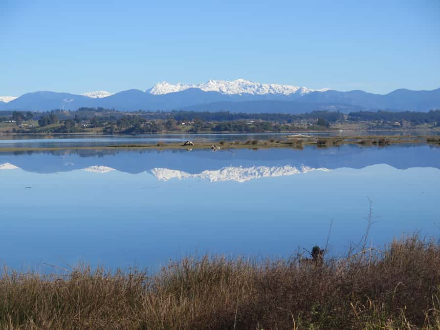 Nelson: Great Taste Trail Coastal Bike Ride to Mapua - Rabbit Island brings the best mid-ride pause