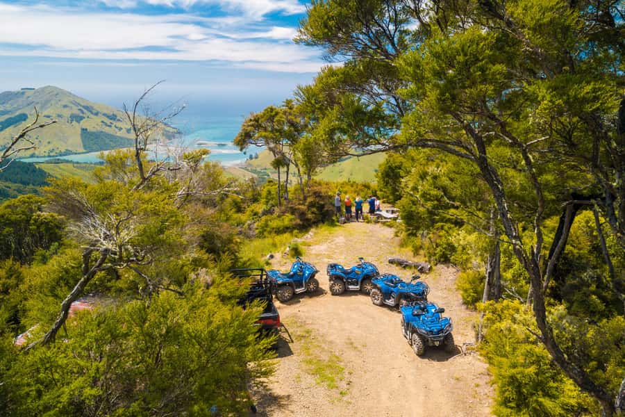 Nelson: Guided Quad Biking Tour Through Forest and Farmland - Key points to know before you book