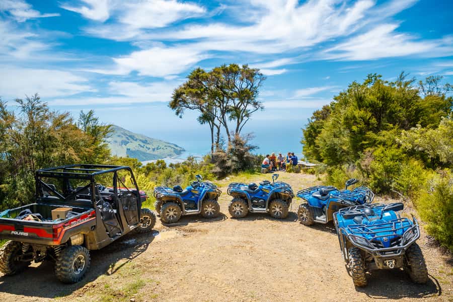 Nelson: Guided Quad Biking Tour Through Forest and Farmland - Is the NZD $80 price good value?