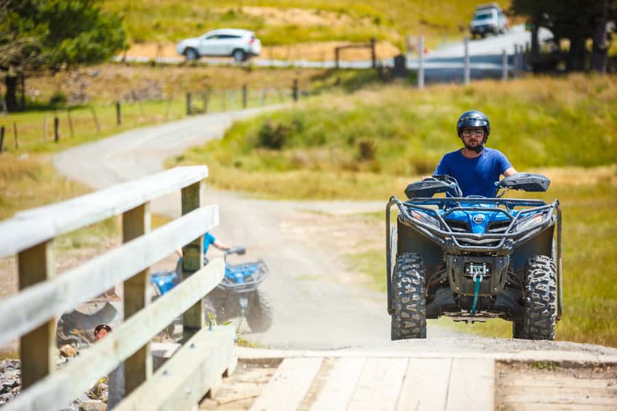 Nelson: Guided Quad Biking Tour Through Forest and Farmland - What makes this Nelson quad bike tour worthwhile