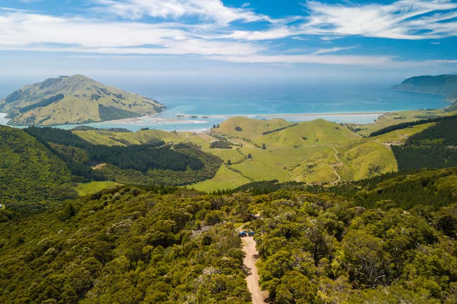 Nelson: Guided Quad Biking Tour Through Forest and Farmland - The 1.5-hour Farm Forest Ride