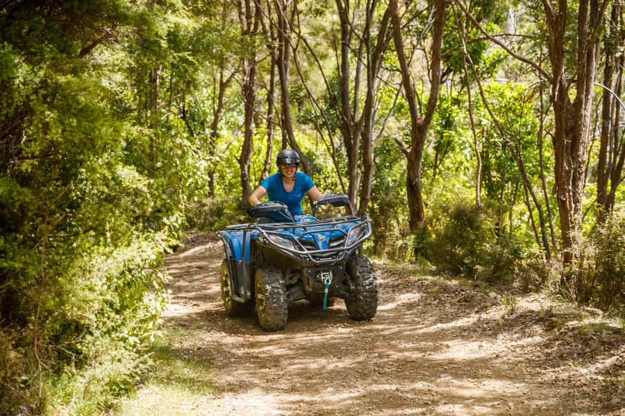 Nelson: Guided Quad Biking Tour Through Forest and Farmland - The 2.5-hour Bayview Circuit Tour